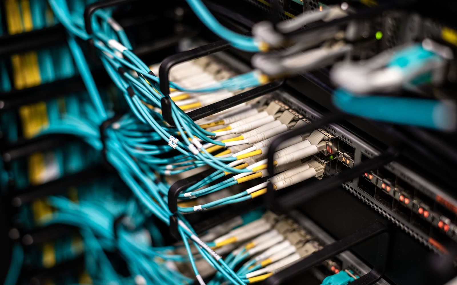 Fiber optic patch cables connected to a network rack